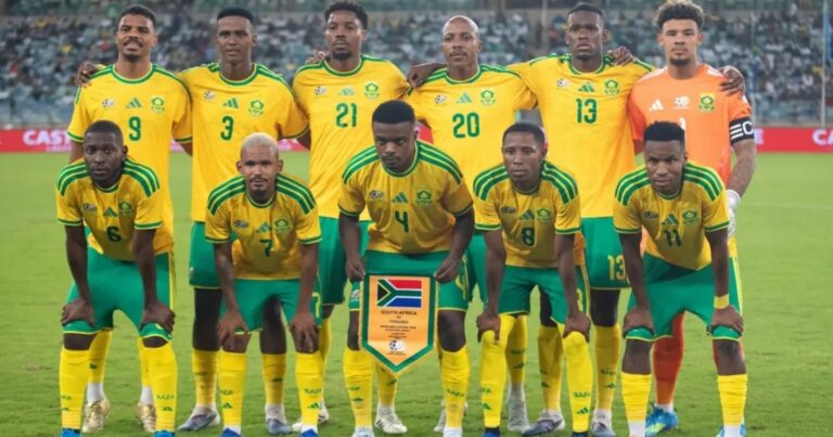 apa julukan tim nasional sepak bola Afrika Selatan